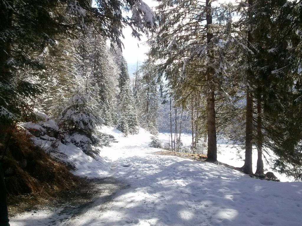 Ferienwohnung Inge Gapp Gosau Exteriér fotografie