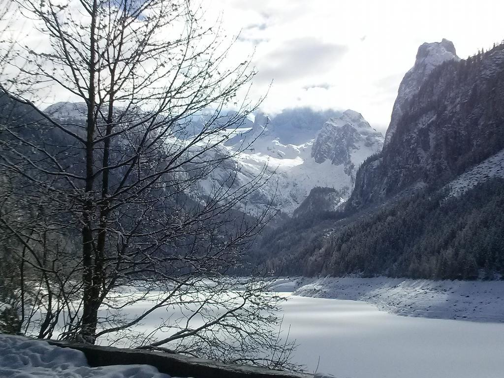Ferienwohnung Inge Gapp Gosau Exteriér fotografie