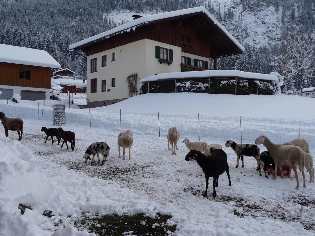 Ferienwohnung Inge Gapp Gosau Exteriér fotografie