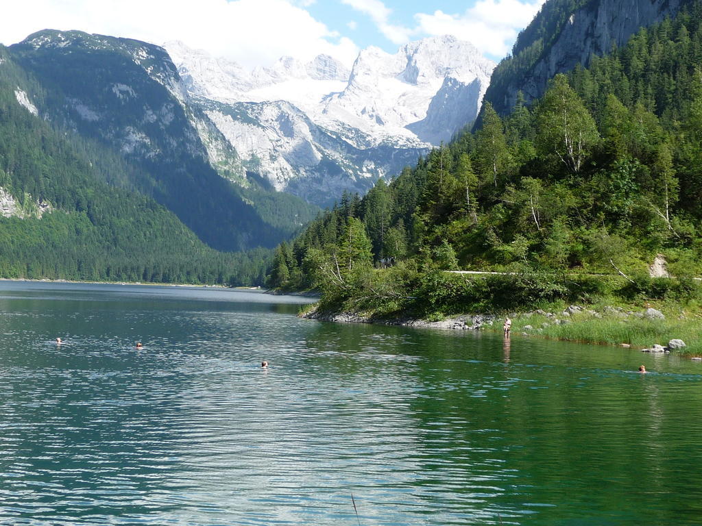 Ferienwohnung Inge Gapp Gosau Pokoj fotografie